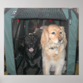 Slate en Sasha Poster (Voorkant)