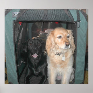 Slate en Sasha Poster