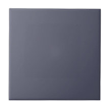 Slate Grey Kleur Effen Kleur | #56586c