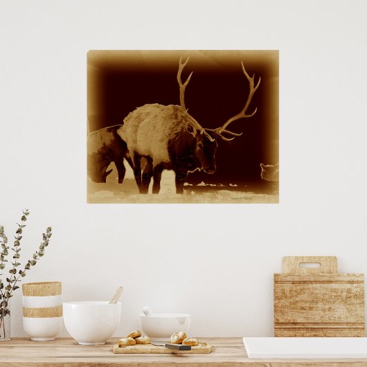 slecht 2 het bot poster (Keuken)