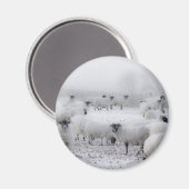 Slecht weer magneet (Voorkant / Achterkant)