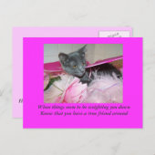 slechte dagkaart. briefkaart (Voorkant / Achterkant)