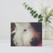 Slechte Haardag! Briefkaart (Staand voorkant)