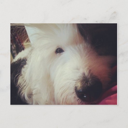 Slechte Haardag! Briefkaart (Voorkant)