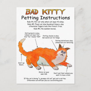 Slechte Kat Benzininstructies Briefkaart