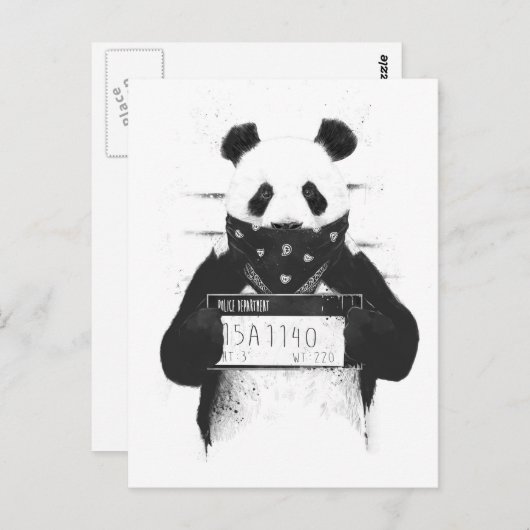 Slechte panda briefkaart (Voorkant / Achterkant)
