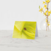 Slechts één kaart (Gele Bloem)