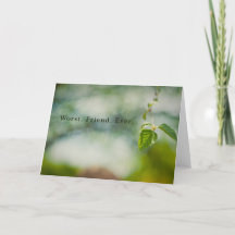 Slechtste vriend ooit