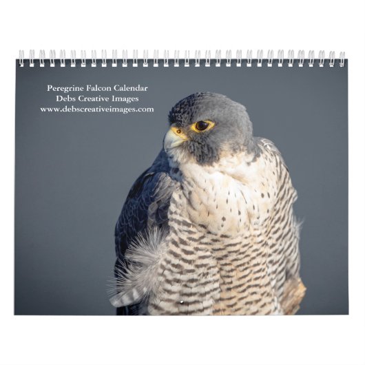 Slechtvalk 2026 kalender (Hoes)