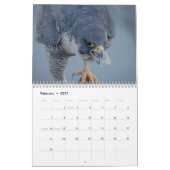 Slechtvalk 2026 kalender (Feb 2027)