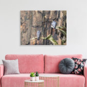 slechtvalken op de rotsen canvas afdruk (Insitu (Woonkamer))