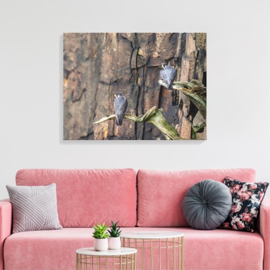 slechtvalken op de rotsen canvas afdruk (Insitu (Woonkamer))