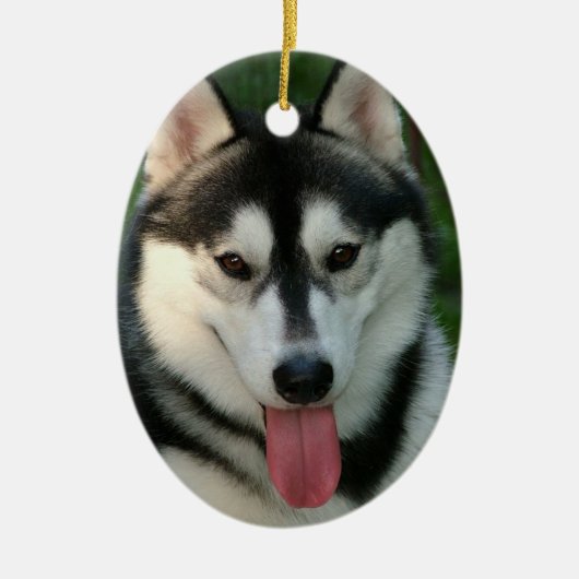 Sled Dog Ornament (Voorkant)