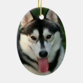 Sled Dog Ornament (Achterkant)