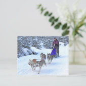 Sled Dog Racing Briefkaart (Staand voorkant)