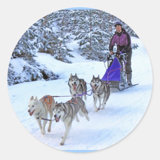 Sled Dog Racing Ronde Sticker (Voorkant)