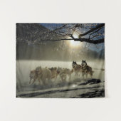 Sled husky race wandkleed (Voorkant (horizontaal))