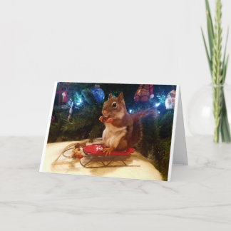 Sledding Squirrel Holiday Kaart
