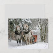 slee ride briefkaart (Voorkant / Achterkant)