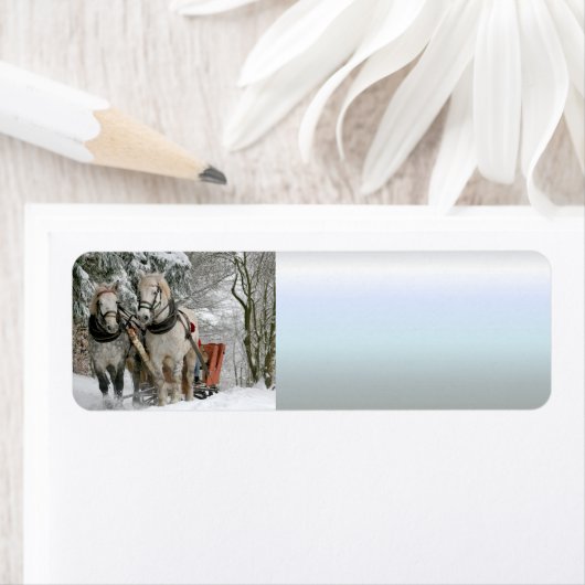 slee+ride,sneeuw,bos,paard,winter,wit,gallop, etiket (Insitu)