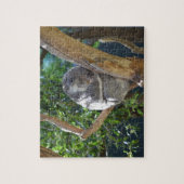 Sleep Koala Legpuzzel (Verticaal)