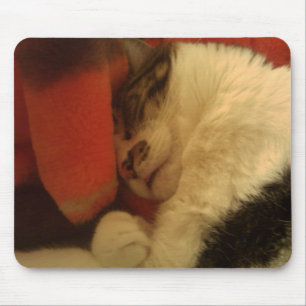 Sleepig Kat Muismat