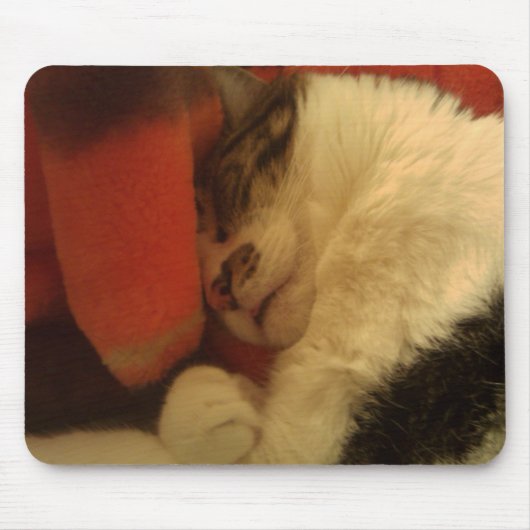 Sleepig Kat Muismat (Voorkant)