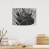 Sleepig kat poster (Keuken)