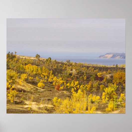 "SLEEPING BEER DUNES AGLOW MET GOLDEN VEGETATION" POSTER (Voorkant)