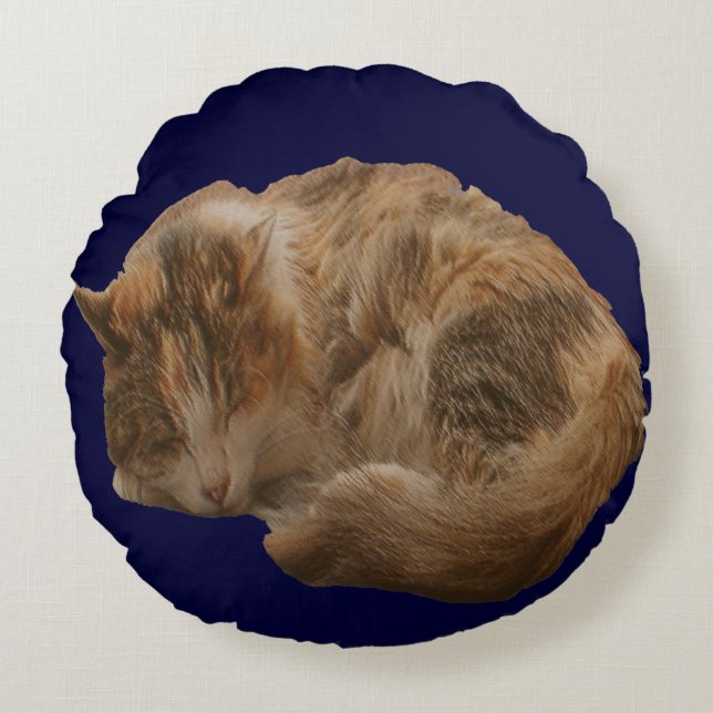 Sleeping Bengal Kitten Prank Pillow Rond Kussen (Voorkant)