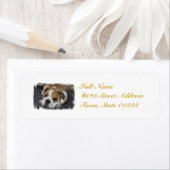 Sleeping Bulldog Mailing Étiquettes (En situation)