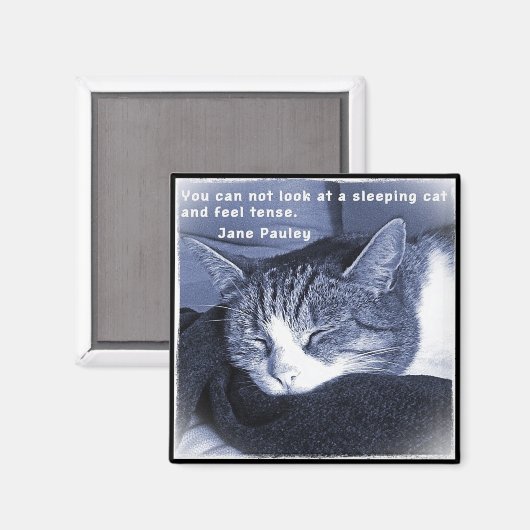 Sleeping cat magneet (Voorkant / Achterkant)