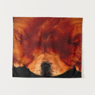Sleeping Chow Chow Cwata Wandkleed