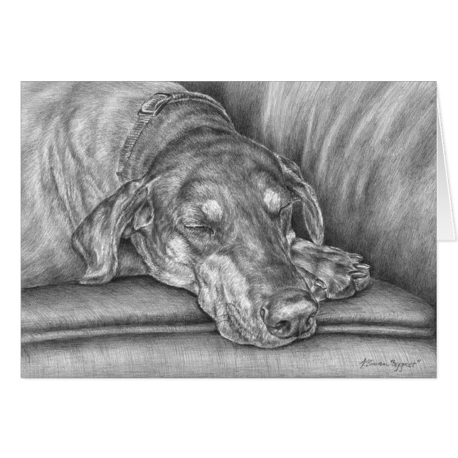 Sleeping Doberman Dog Drawing beroemd gemaakt door (Voorkant Horizontaal)