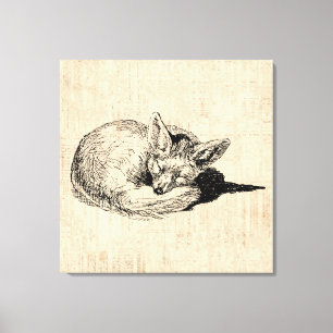 Sleeping Fox geïllustreerd Art Cute Animal Canvas Afdruk