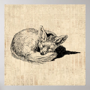 Sleeping Fox geïllustreerd Art Cute Animal Poster