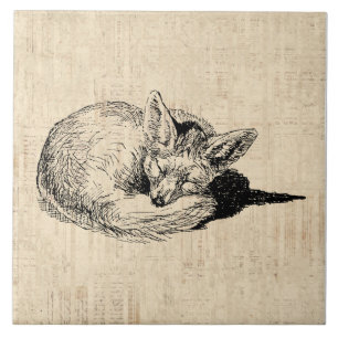 Sleeping Fox geïllustreerd Art Cute  Animal Tegeltje