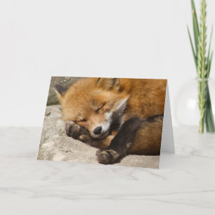Sleeping Fox Notecard Kaart