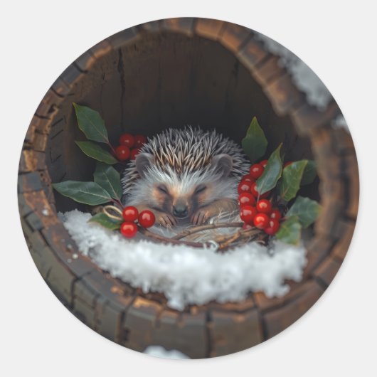 Sleeping hedgehog Christmas fun Ronde Sticker (Voorkant)