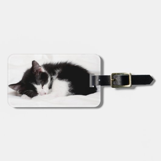 Sleeping Kitten Bagagelabel (Voorkant horizontaal)