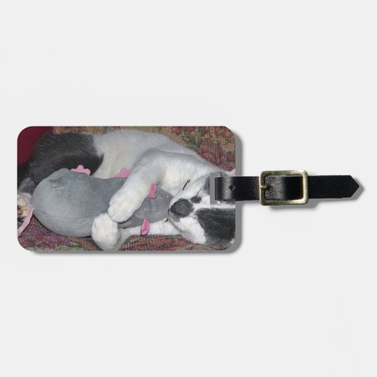 Sleeping Kitten Bagagelabel (Voorkant horizontaal)