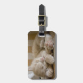 Sleeping Kitten Bagagelabel (Voorkant verticaal)