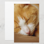 Sleeping Kitten Briefpapier (Voorkant / Achterkant)