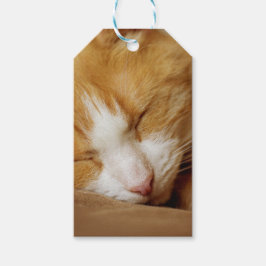 Sleeping Kitten Cadeaulabel