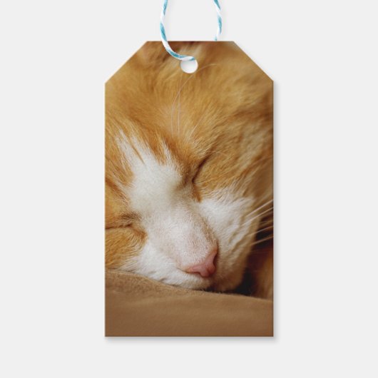 Sleeping Kitten Cadeaulabel (Voorkant)