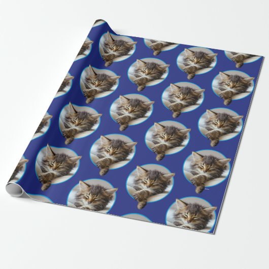 Sleeping Kitten Cadeaupapier (Uitgerold)