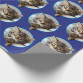 Sleeping Kitten Cadeaupapier (Hoek)