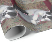 Sleeping Kitten Cadeaupapier (Rol Hoek)