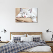 Sleeping Kitten Canvas Afdruk (Insitu (Slaapkamer))