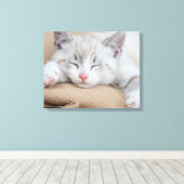 Sleeping Kitten Canvas Afdruk (Insitu (Houten vloer))